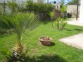 /album/photogallery/giardino-4-jpg/